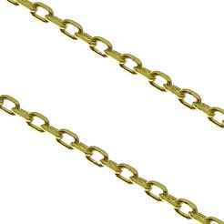 GOLDIE Zlatá retiazka Anker LCHP024.TRALB GOLDIE Zlatá retiazka Anker LCHP024.TRALB