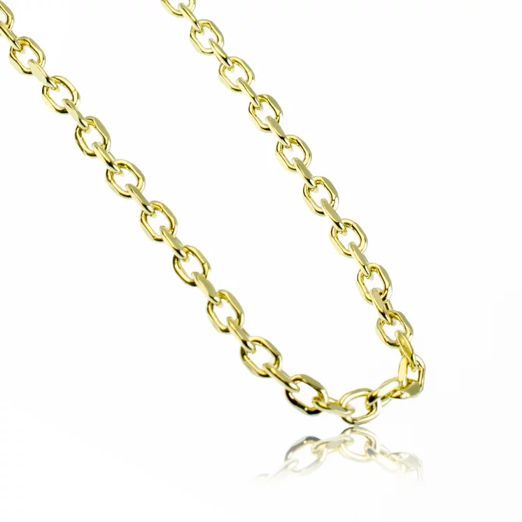 GOLDIE Zlatá retiazka Anker v dĺžke 50 cm LCH212.TR