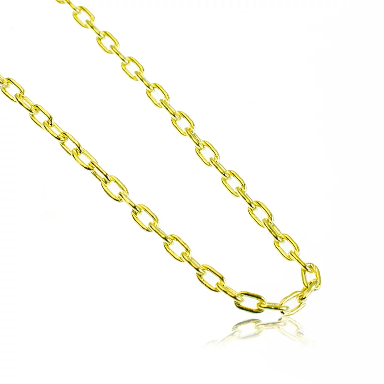 GOLDIE Zlatá retiazka Anker v dĺžke 50 cm LCHD214.TR GOLDIE Zlatá retiazka Anker v dĺžke 50 cm LCHD214.TR