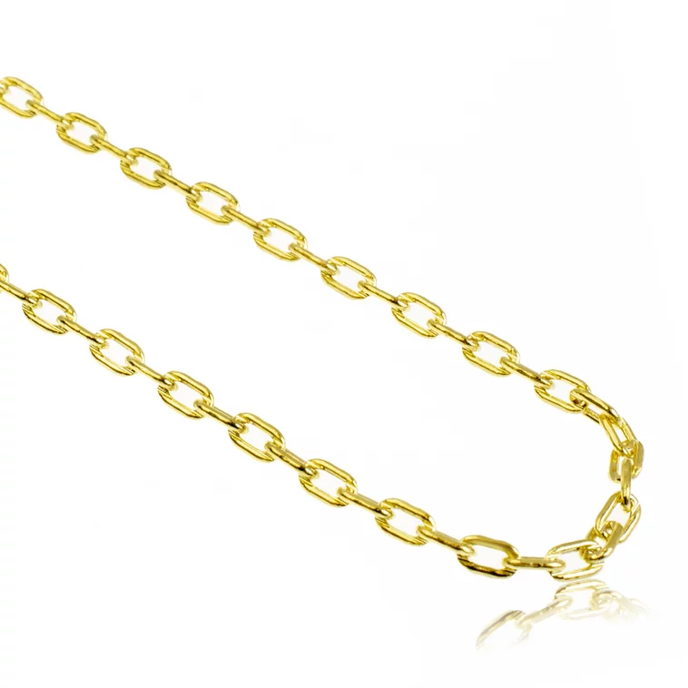GOLDIE Zlatá retiazka Anker v dĺžke 55 cm LCH211.TR GOLDIE Zlatá retiazka Anker v dĺžke 55 cm LCH211.TR