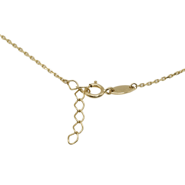 Zlatý náhrdelník s perleťovými srdiečkami LNL424.TR
